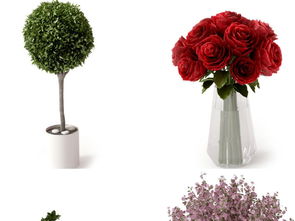 現(xiàn)代綠植盆栽精品陶罐花卉景觀設(shè)計(jì)與資源下載指南