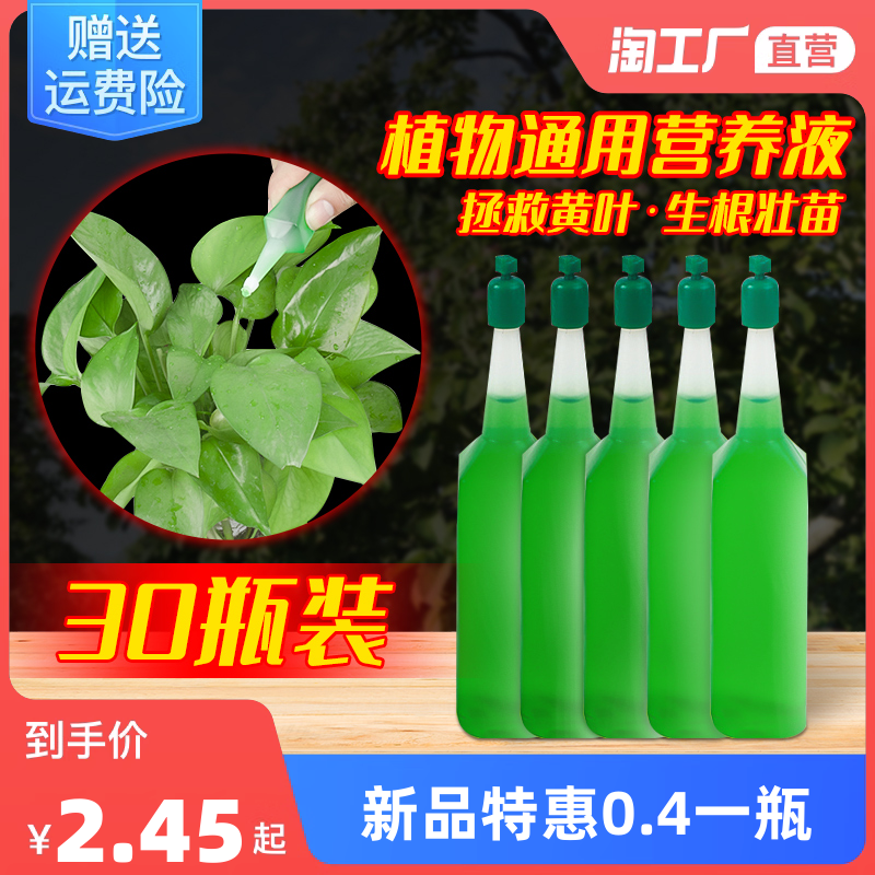 花卉網(wǎng)購熱潮 現(xiàn)代生活的新寵與消費(fèi)趨勢解析